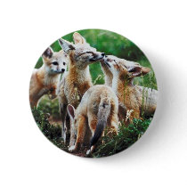 Fox Cubs Pinback Button