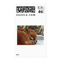 Fox day dreaming postage by Amilhayati Fox day dreaming postage