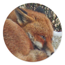 Fox day dreaming stickers by Amilhayati Fox day dreaming stickers