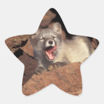 Fox Den Stickers