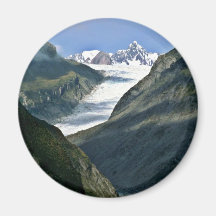 Fox Glacier Refrigerator Magnets