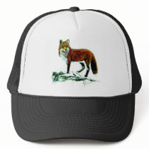 Fox Hat