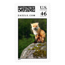 Fox Hill postage