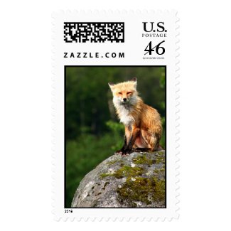 Fox Hill stamp