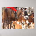 Fox Hunt posters