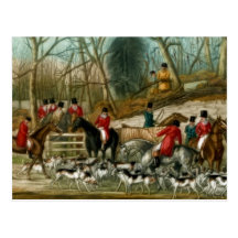 Fox Hunting 1 Post Card