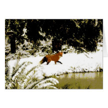 Fox in Snow Card