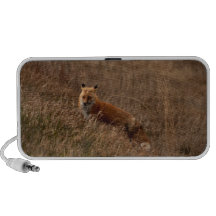 Fox in the Grass Speakers