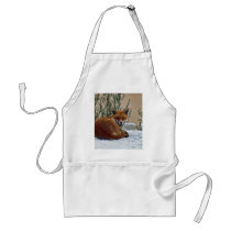 Fox in the snow aprons