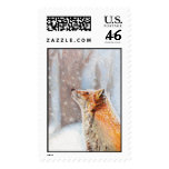 Fox in the Snow Postage postage