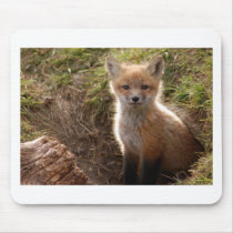 fox kit mousepads by kathiscc fox kit mousepads