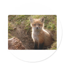 fox kit stickers