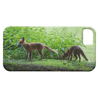 Fox Kits - iPhone 5/5S Case