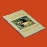 nature journal, journals, field, notes, sketches,