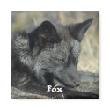 Fox Magnet by OrcaWatcher Fox Magnet