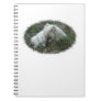 Fox Naptime Spiral Note Books