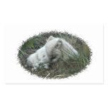 Fox Naptime Rectangle Stickers