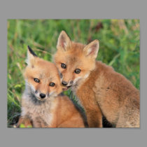 Fox Nom posters