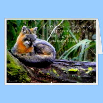 FOX PHILOSOPHY cards