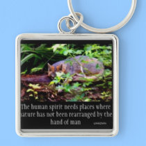 FOX PHILOSOPHY KEY CHAIN keychains