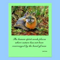 FOX  PHILOSOPHY posters