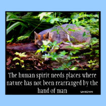 FOX PHILOSOPHY posters