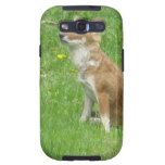 Fox Photo Samsung Galaxy Case