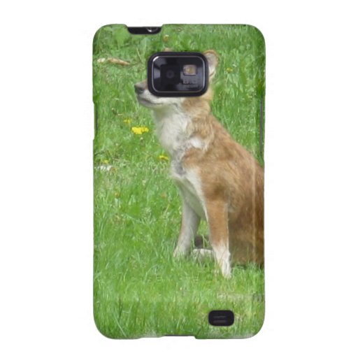 Fox Photo Samsung Galaxy Case