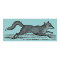 Fox Poster