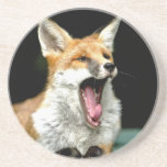 Fox - pro photo drink coaster