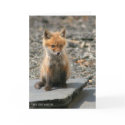 Fox Pup cards by Susan616 Fox Pup cards