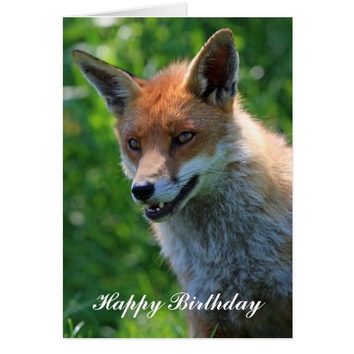 Fox Red Beautiful Happy Birthday Greetings Card | Zazzle