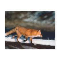 Fox Runs In Snow postcards by HolidayPostage Fox Runs In Snow postcards