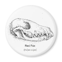 Fox Skull Magnet