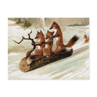 Fox Sleigh Ride Vintage Print Post Cards