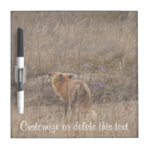 Fox Sniffing the Crocuses; Customizable Dry-Erase Boards
