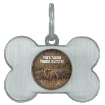 Fox Sniffing the Crocuses; Customizable Pet ID Tags