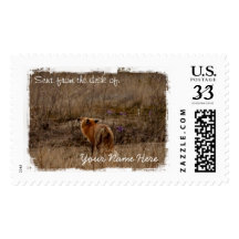 Fox Sniffing the Crocuses Stamp