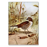 Fox Sparrow Bird Art Table Cards