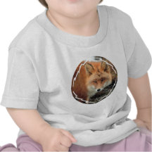 Fox Species Baby T-Shirt