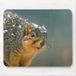 Fox Squirrel in Snow Mouse Pads