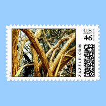 FOX STAMP stamps