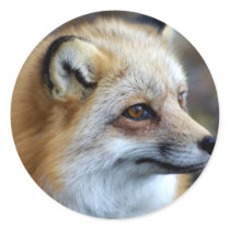 Fox Sticker