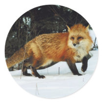 Fox stickers