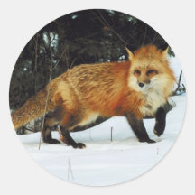 Fox Stickers