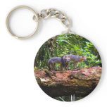 FOX TAIL BRUNCH keychains