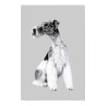 Fox Terrier Drawing posters