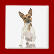 Fox Terrier Magnet