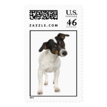 Fox Terrier Stamp (LARGE)