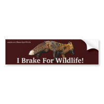 Fox Wildlife Protection Bumper Sticker